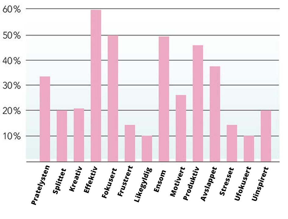 Slik var det å jobbe hjemmefra